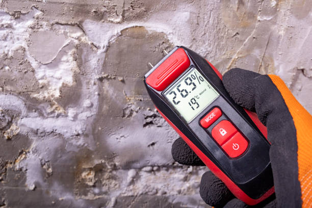 Best Mold Cleaning Services  in Cottonwood, ID