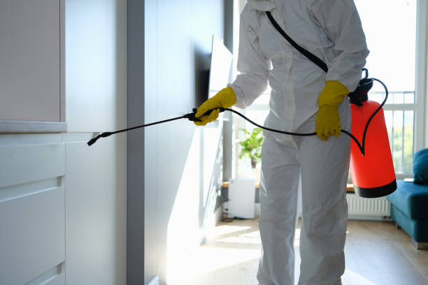 Best Mold Removal Process  in Cottonwood, ID