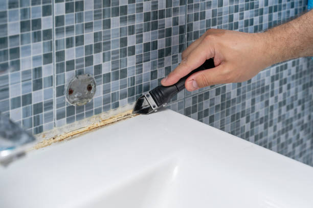 Best Black Mold Removal  in Cottonwood, ID